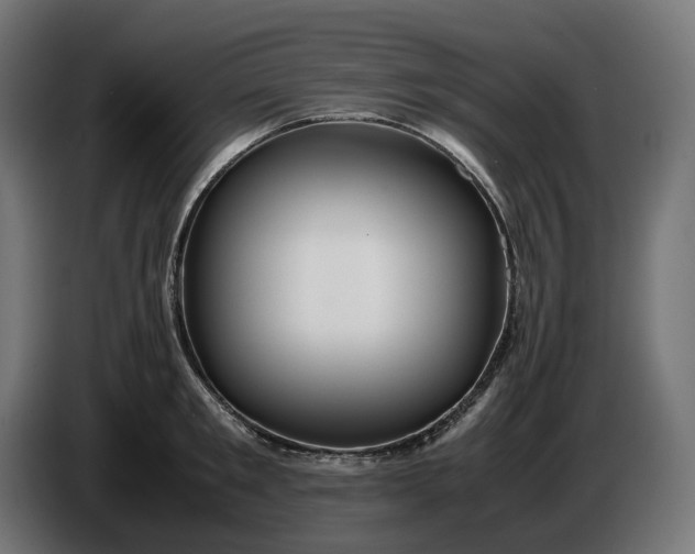 X0000087420901200705041305