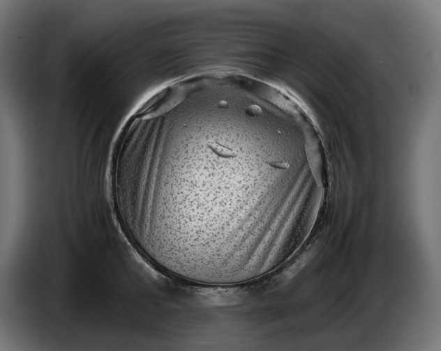 X0000087420902200705041305