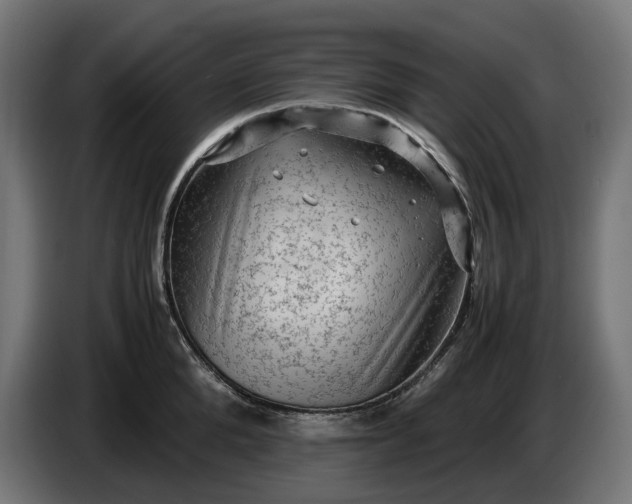 X0000087420904200705041305