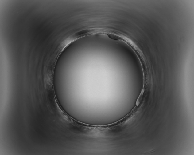 X0000087420905200705041305