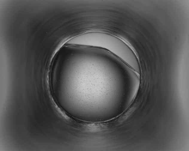 X0000087420906200705041305