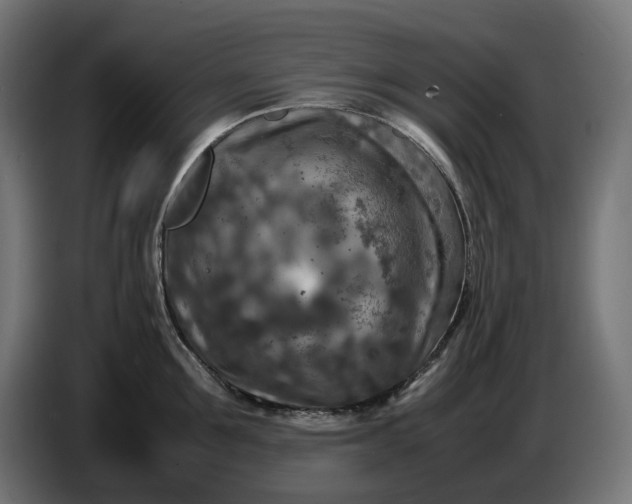 X0000087420907200705041305
