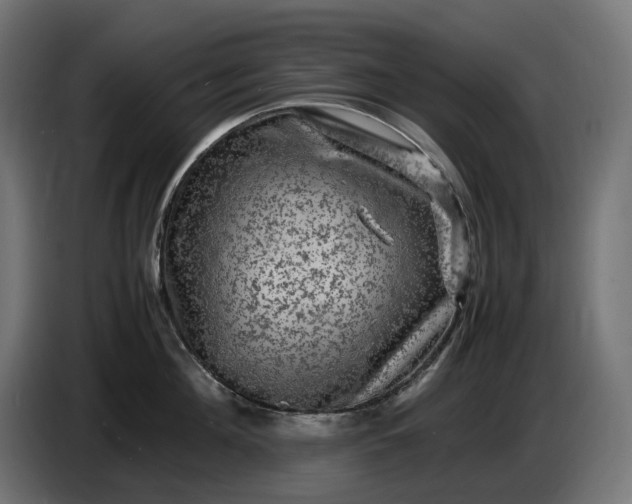 X0000087420908200705041305