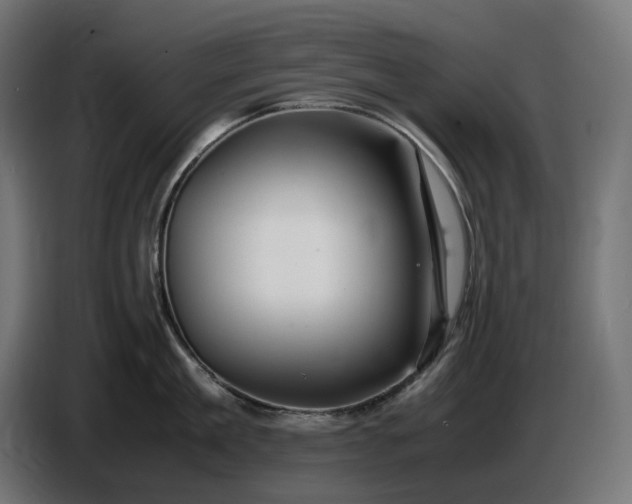 X0000087420909200705041305