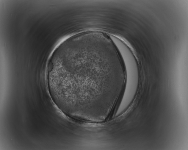 X0000087420910200705041305