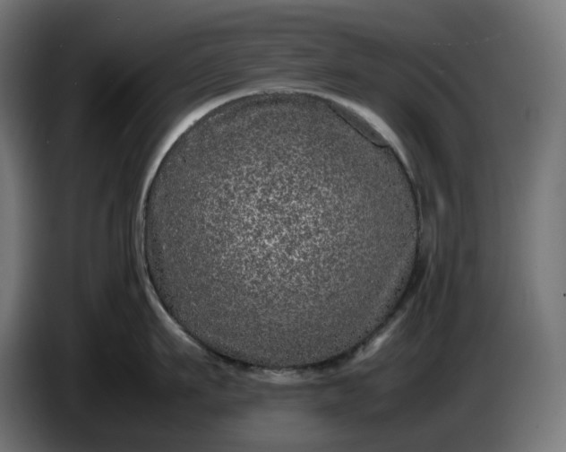X0000087420911200705041305