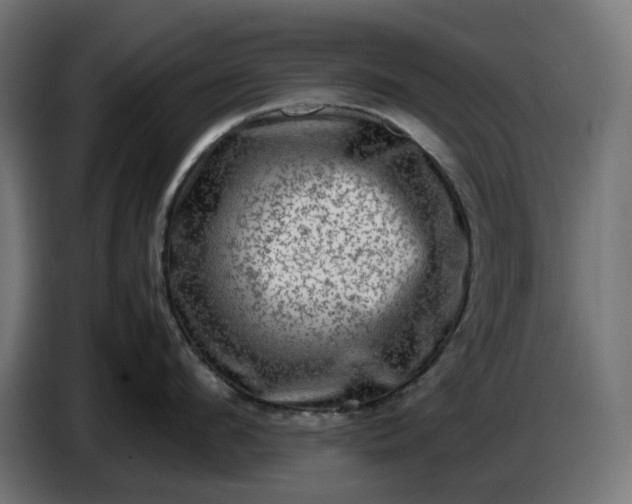 X0000087420912200705041305