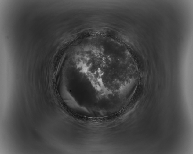 X0000087420913200705041304