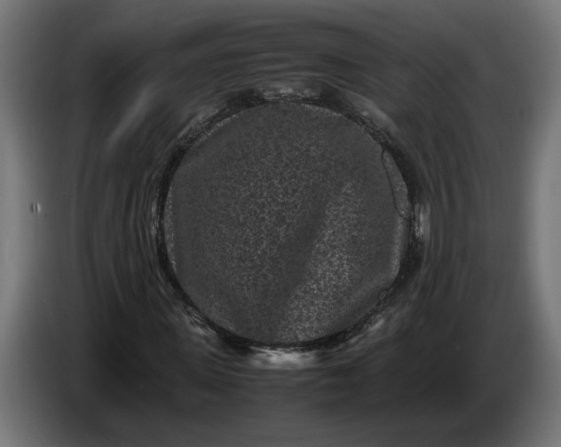 X0000087420915200705041304