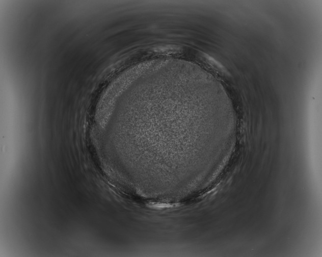 X0000087420917200705041305
