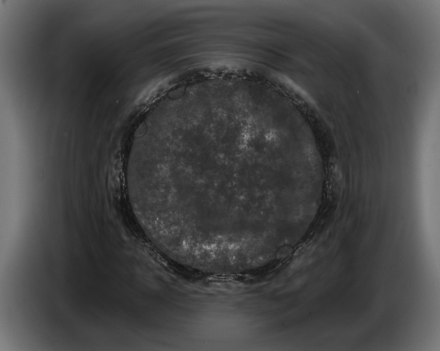 X0000087420918200705041305