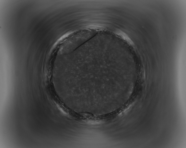X0000087420920200705041305