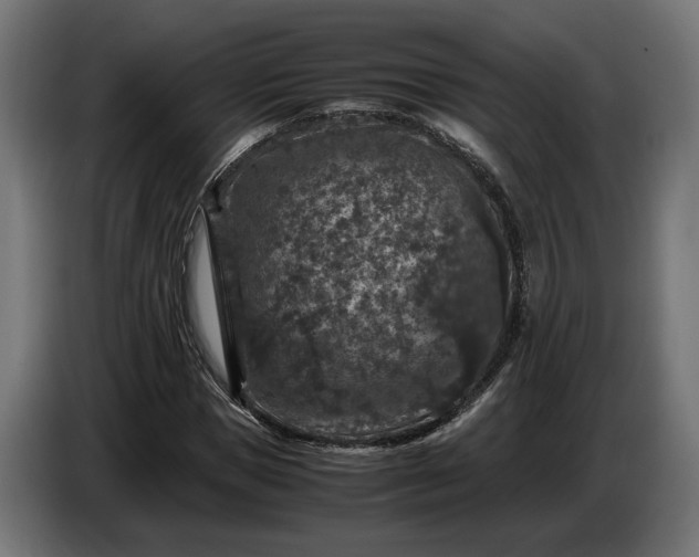 X0000087420921200705041305