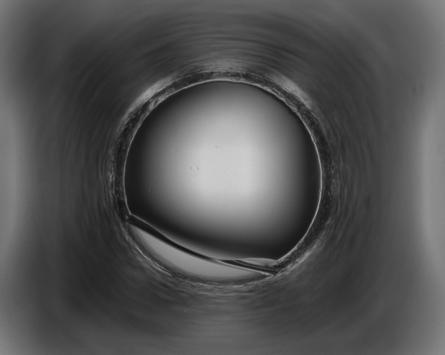 X0000087420922200705041305