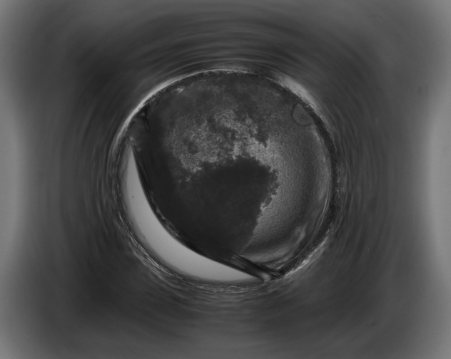 X0000087420923200705041305