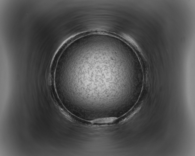 X0000087420924200705041305