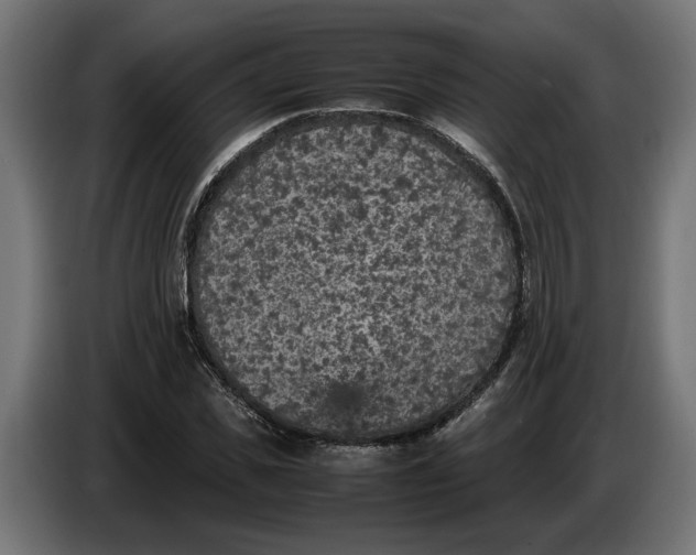 X0000087420925200705041305