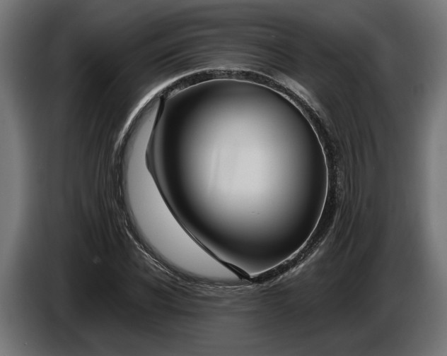 X0000087420926200705041305