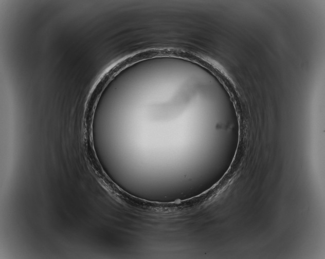 X0000087420927200705041305