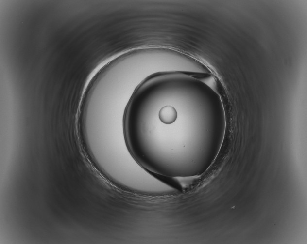 X0000087420928200705041305