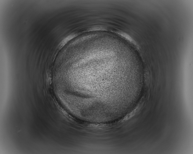 X0000087420929200705041305