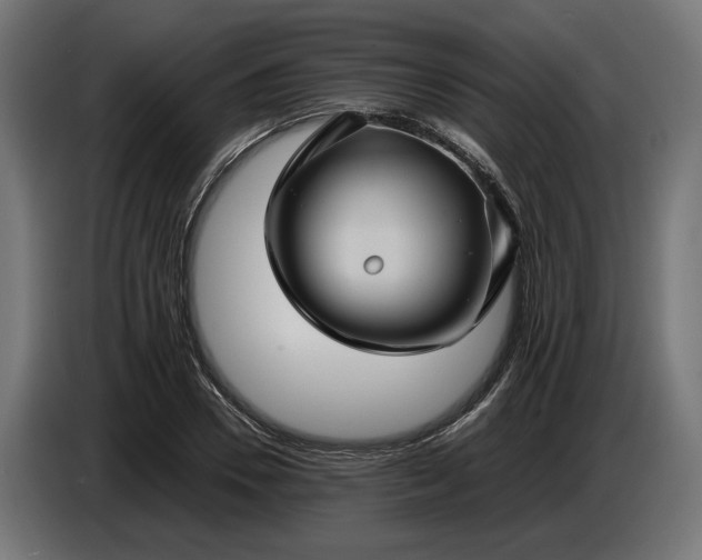 X0000087420930200705041305