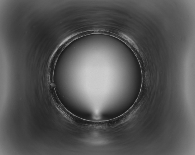X0000087420931200705041305
