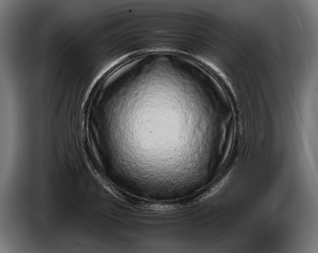 X0000087420933200705041305