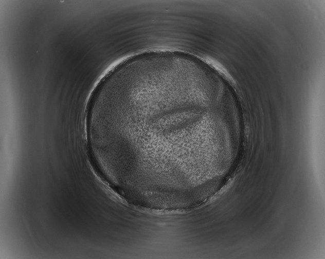 X0000087420934200705041305