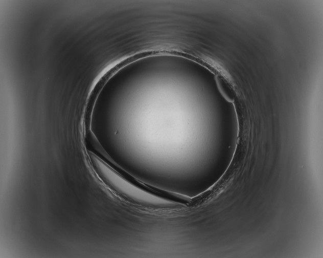 X0000087420936200705041305