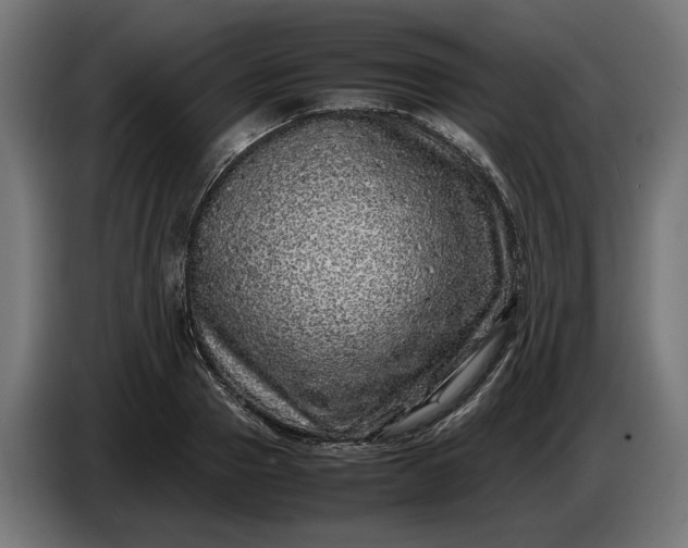 X0000087420937200705041305