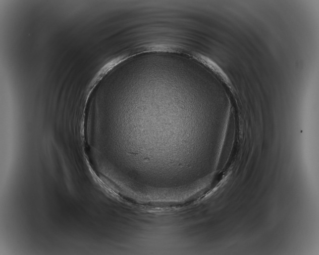 X0000087420938200705041305