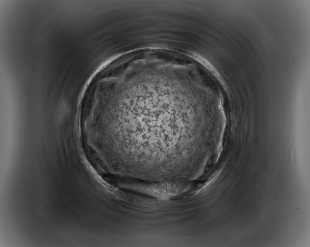 X0000087420939200705041305