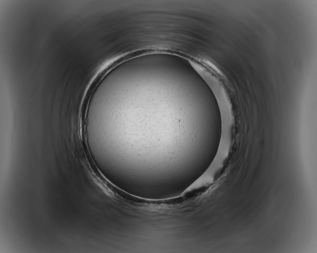 X0000087420940200705041305