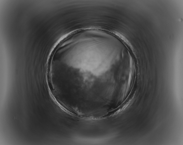 X0000087420941200705041305