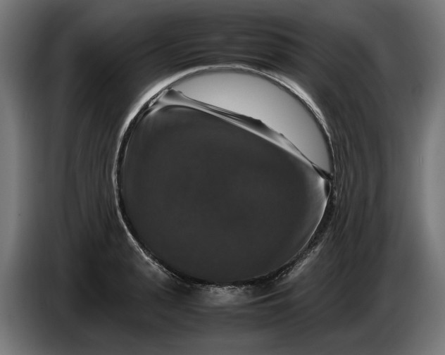 X0000087420943200705041305