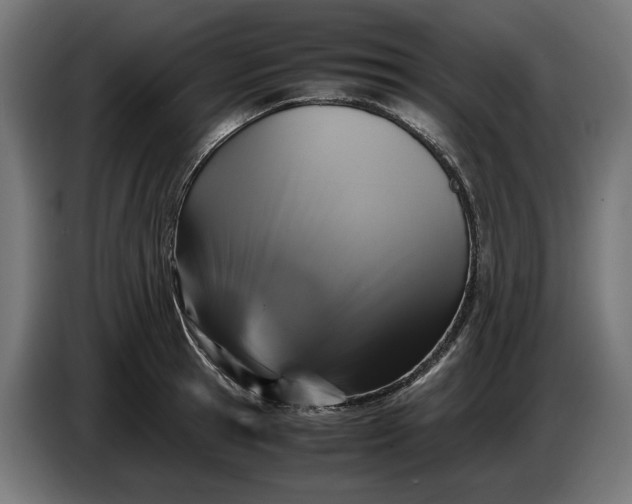 X0000087420945200705041305