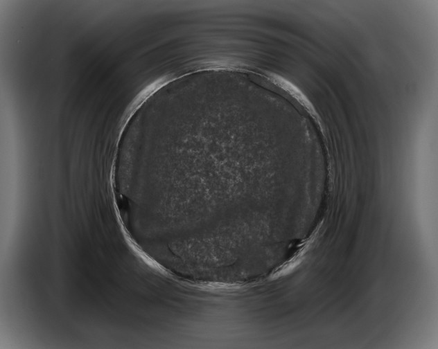 X0000087420946200705041305