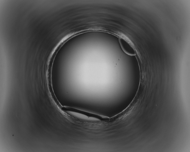 X0000087420947200705041305
