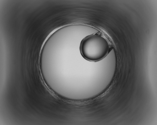 X0000087420948200705041305