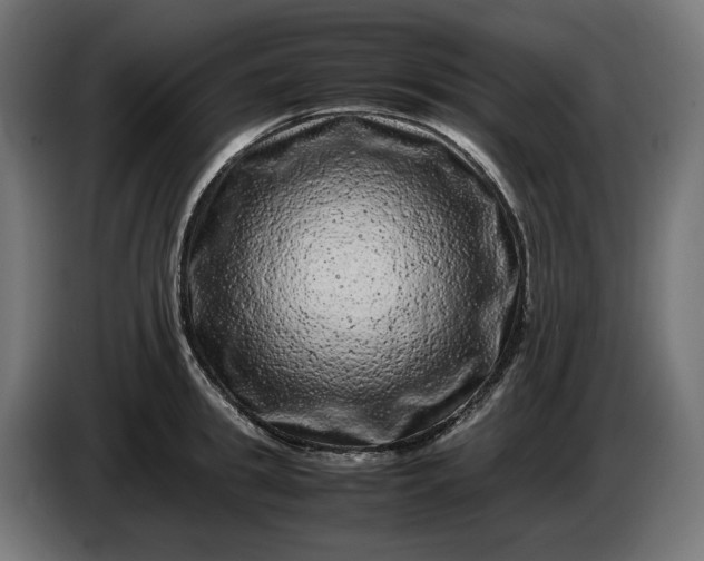 X0000087420949200705041305