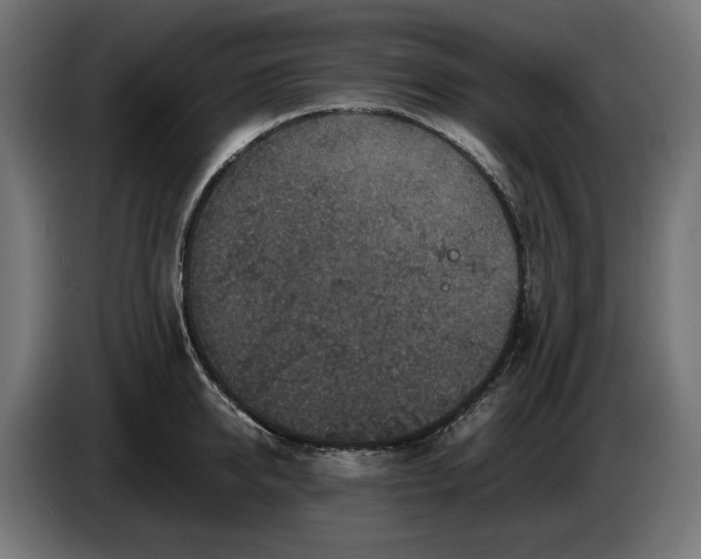 X0000087420950200705041305