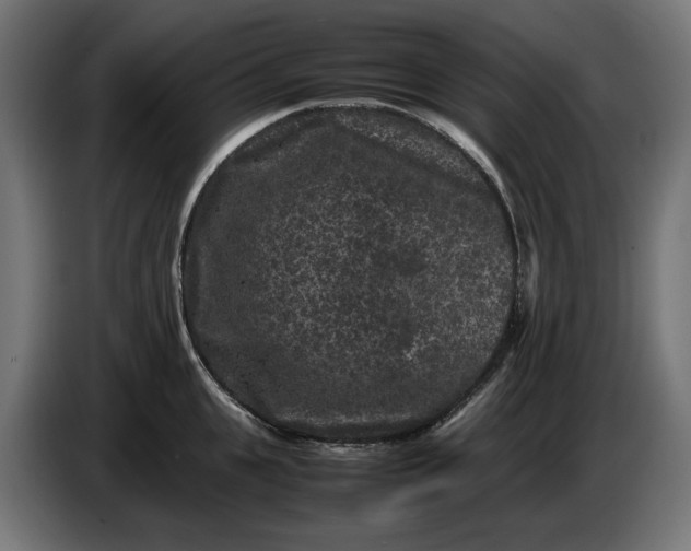 X0000087420951200705041305