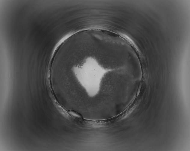 X0000087420952200705041305