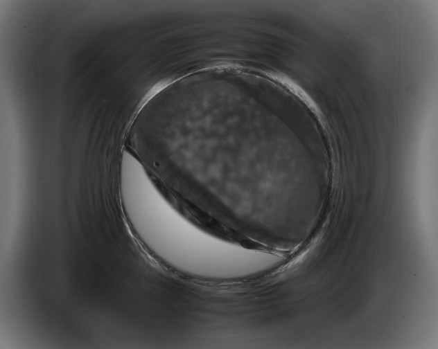 X0000087420953200705041305