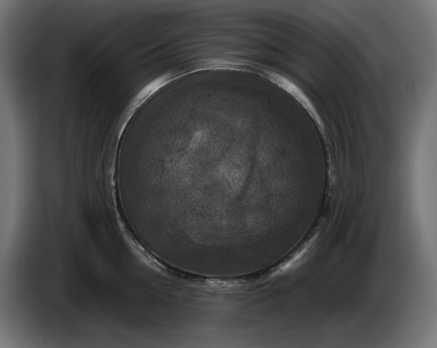 X0000087420954200705041305