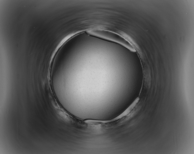 X0000087420956200705041305