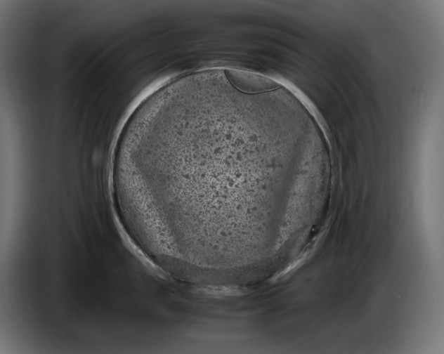 X0000087420957200705041305
