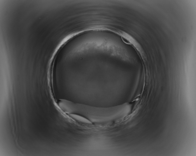X0000087420958200705041305