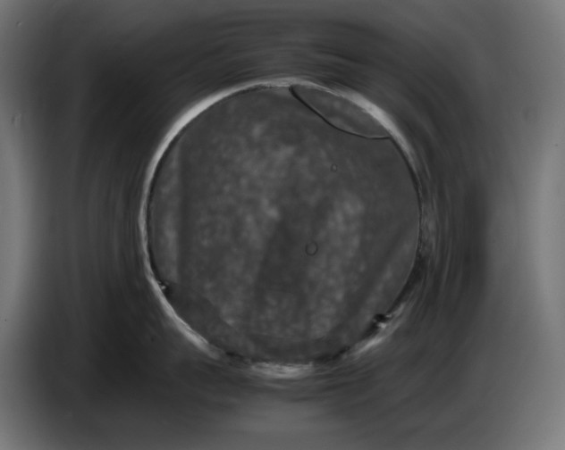 X0000087420959200705041305
